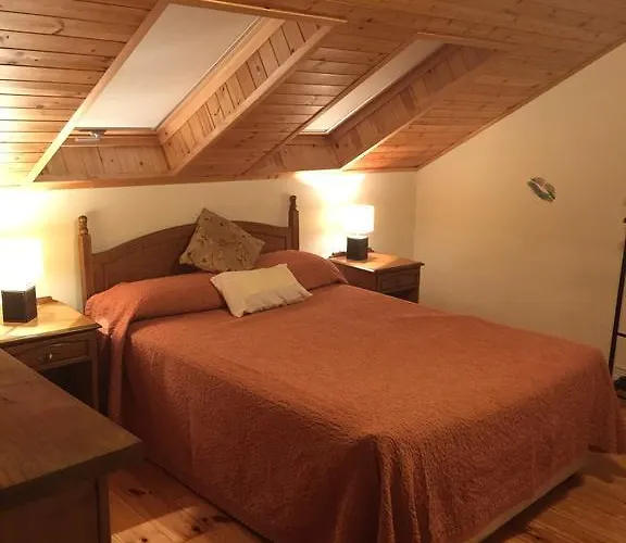 Amber Couette-café Sligo