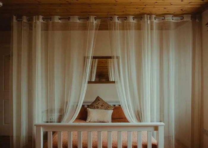 Amber Couette-café Sligo